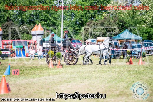Mintakép 20260509-461