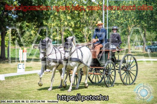 Mintakép 20260612-392