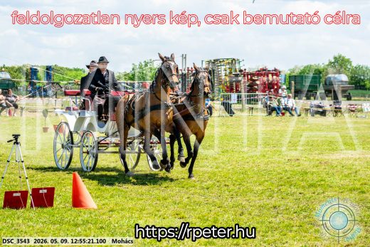 Mintakép 20260509-470