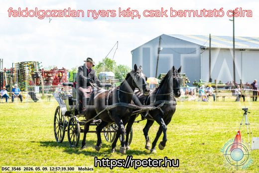 Mintakép 20260509-473