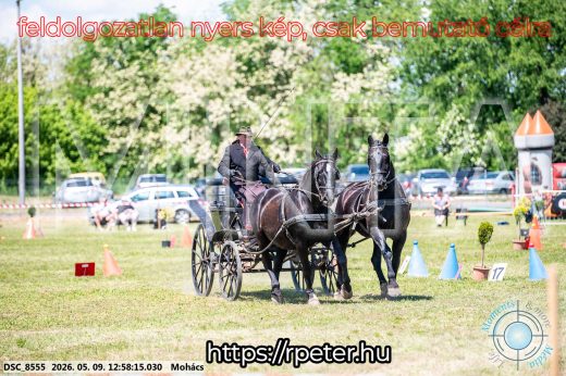Mintakép 20260509-475