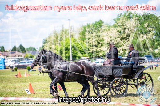 Mintakép 20260509-477
