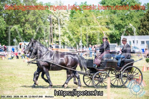 Mintakép 20260509-480