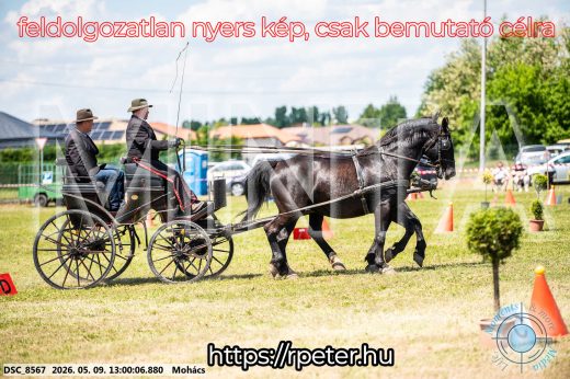 Mintakép 20260509-485