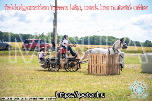 Mintakép 20260613-789