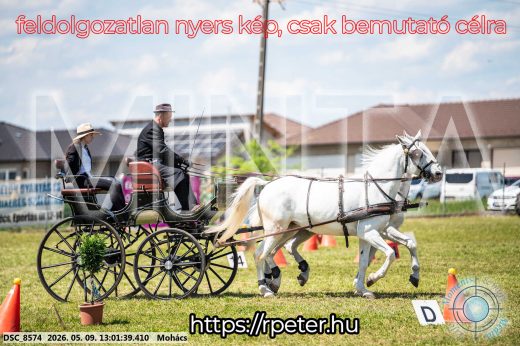 Mintakép 20260509-490