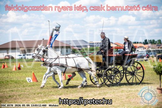Mintakép 20260509-494