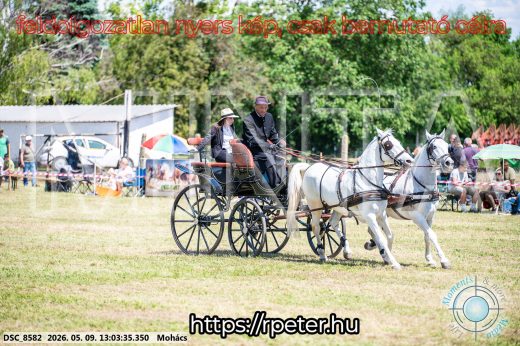 Mintakép 20260509-496