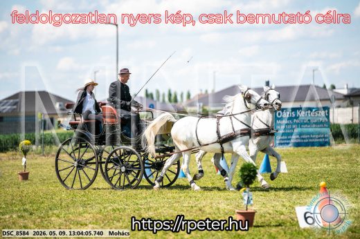 Mintakép 20260509-498