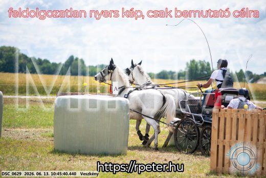 Mintakép 20260613-790