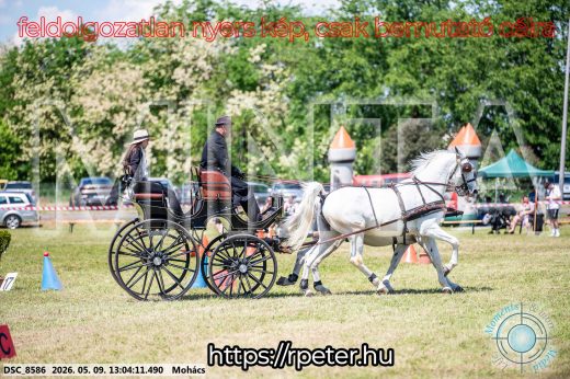 Mintakép 20260509-499