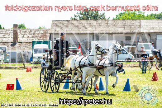 Mintakép 20260509-502