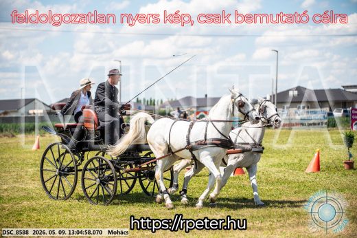 Mintakép 20260509-503