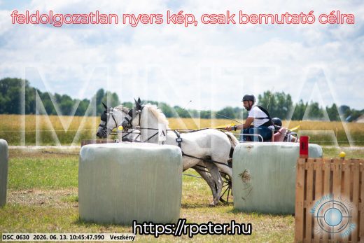 Mintakép 20260613-791