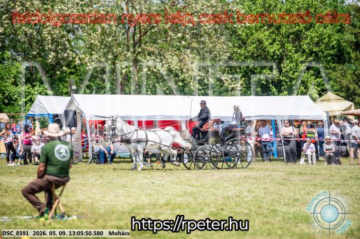 Mintakép 20260509-509
