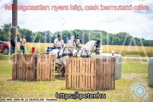 Mintakép 20260613-792