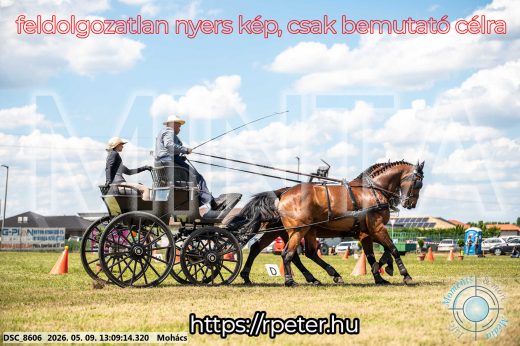 Mintakép 20260509-520