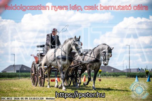 Mintakép 20260509-522