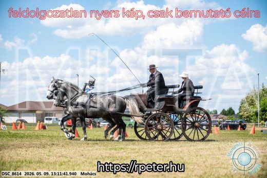 Mintakép 20260509-525