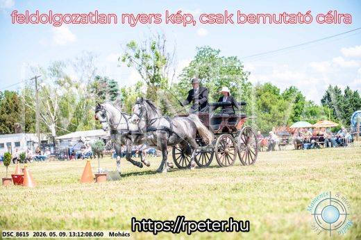 Mintakép 20260509-526