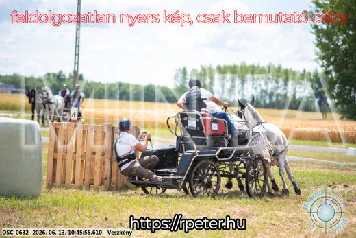 Mintakép 20260613-793