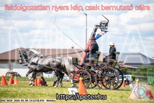 Mintakép 20260509-529