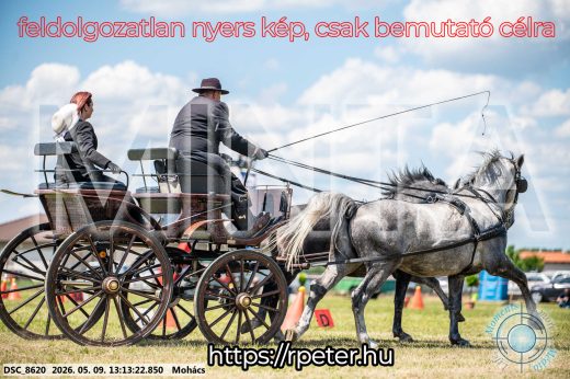 Mintakép 20260509-531