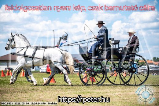 Mintakép 20260509-534