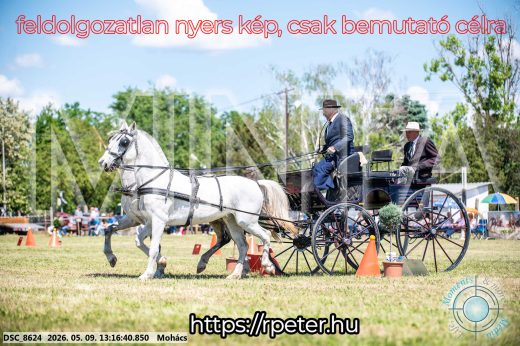 Mintakép 20260509-535