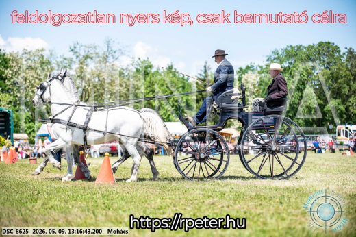 Mintakép 20260509-536