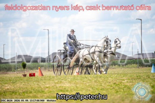 Mintakép 20260509-537