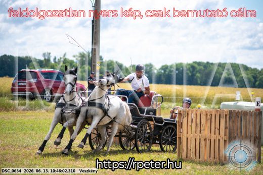 Mintakép 20260613-794