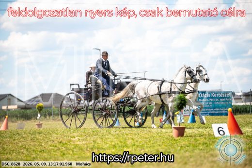 Mintakép 20260509-539