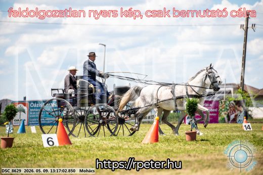 Mintakép 20260509-540