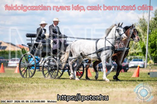 Mintakép 20260509-545