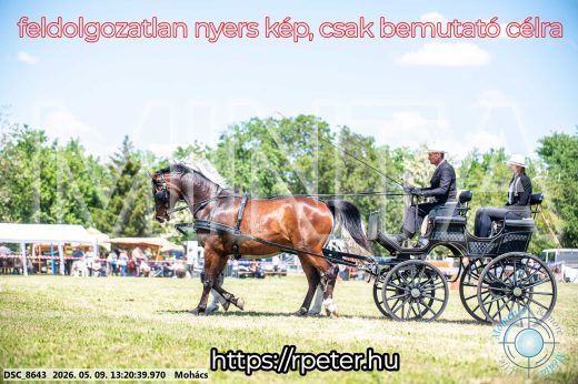 Mintakép 20260509-551