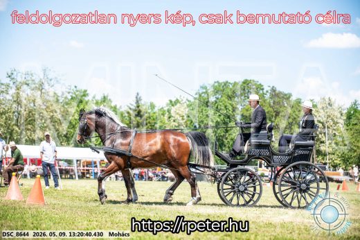 Mintakép 20260509-552