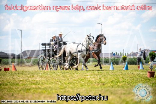 Mintakép 20260509-553