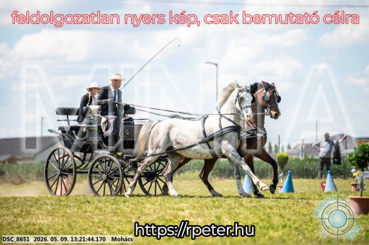 Mintakép 20260509-554