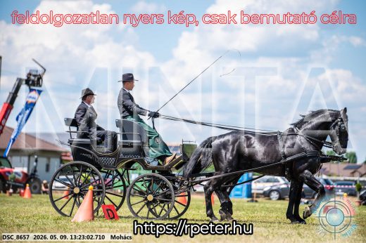 Mintakép 20260509-558