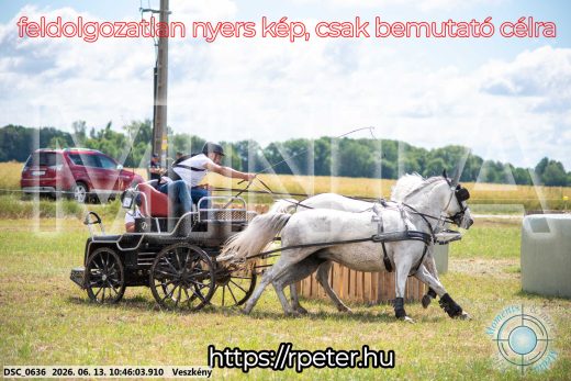 Mintakép 20260613-796