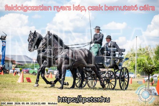 Mintakép 20260509-561
