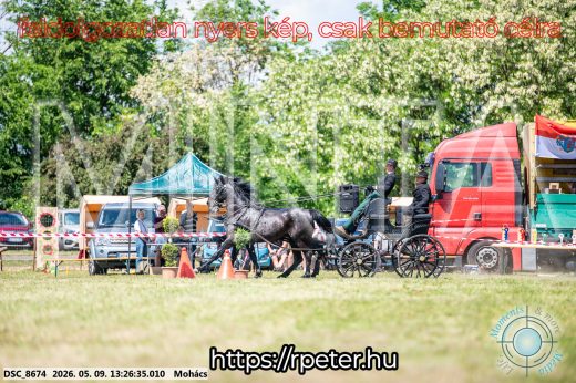 Mintakép 20260509-568