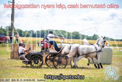 Mintakép 20260613-797
