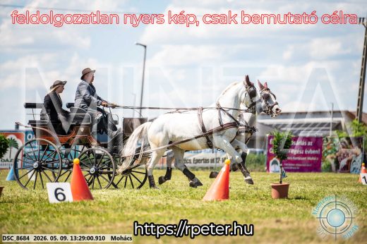 Mintakép 20260509-575