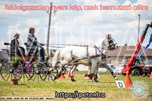 Mintakép 20260509-576
