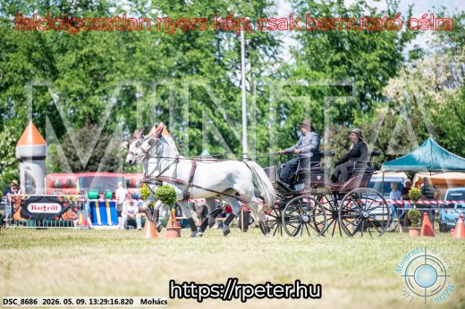 Mintakép 20260509-577