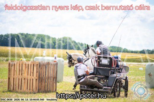 Mintakép 20260613-798