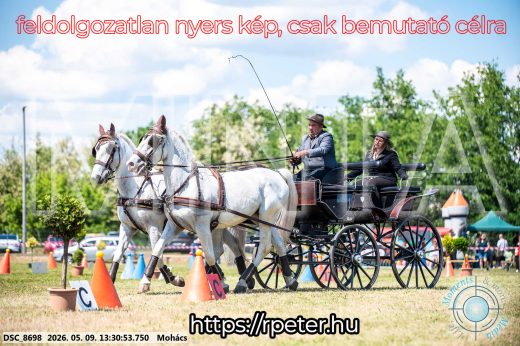 Mintakép 20260509-583
