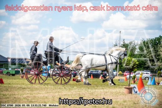 Mintakép 20260509-585
